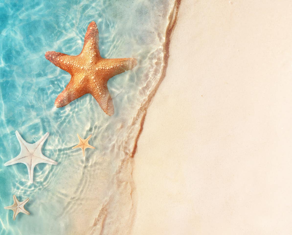 Four starfish of varying sizes rest where gentle turquoise waves kiss the pale, sunlit sand. The largest, a warm orange star, floats near the center, while three smaller starfishes—one white, one pale yellow, and one tan—dot the shallow water below. Sunlight dances on the rippled surface, creating a serene, seaside tableau with ample negative space for text or design.